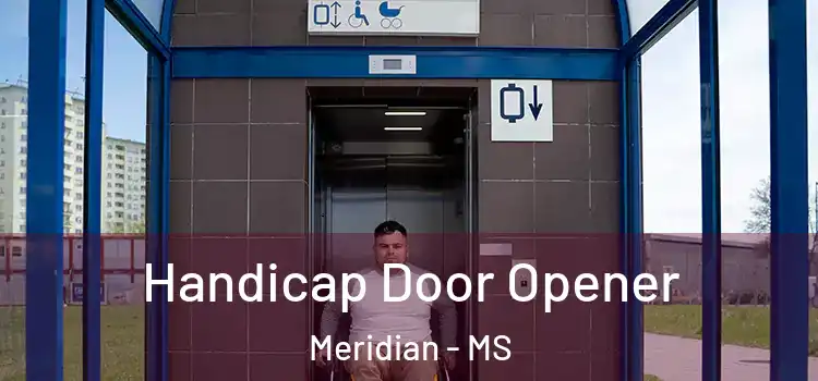 Handicap Door Opener Meridian - MS