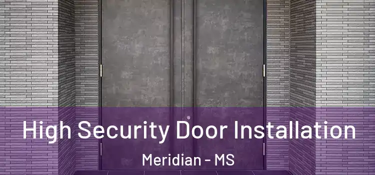 High Security Door Installation Meridian - MS