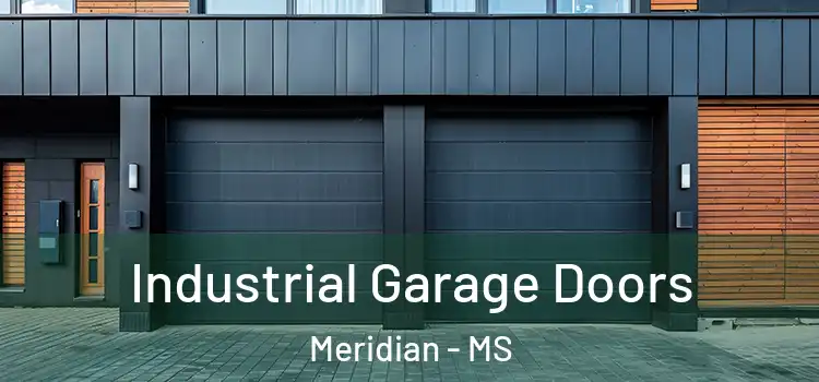  Industrial Garage Doors Meridian - MS