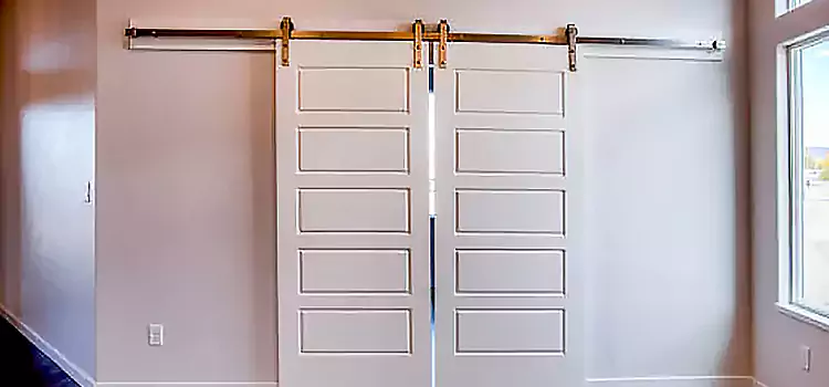 Glass Barn Door with Installation Hardware Kit Meridian