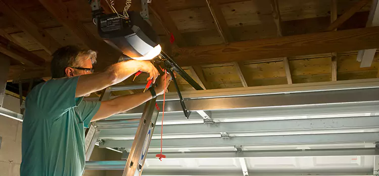 Garage Door Opener Sales and Installation Meridian