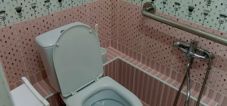 Meeting Diverse Needs With Accessible Restroom Solutions in Meridian, MS