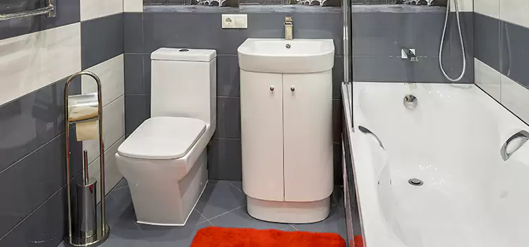 Hansgrohe Shaving Mirror Meridian