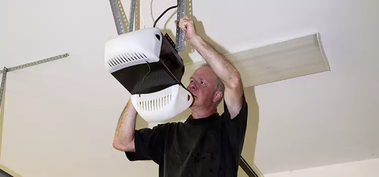 Garage Door Opener Service Meridian