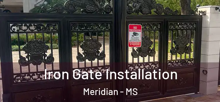 Iron Gate Installation Meridian - MS