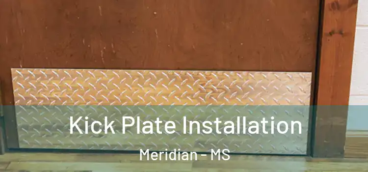 Kick Plate Installation Meridian - MS