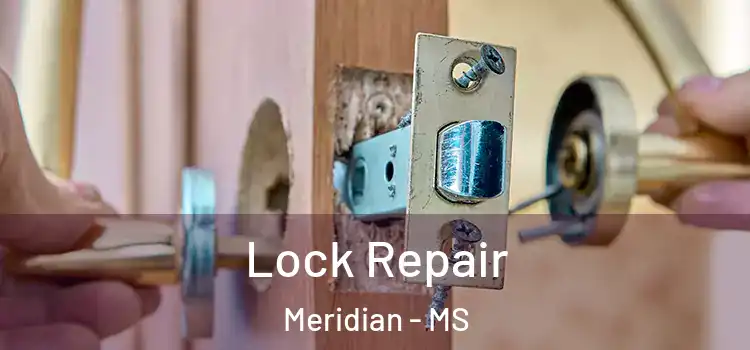 Lock Repair Meridian - MS