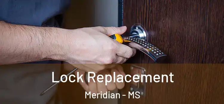 Lock Replacement Meridian - MS