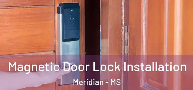  Magnetic Door Lock Installation Meridian - MS