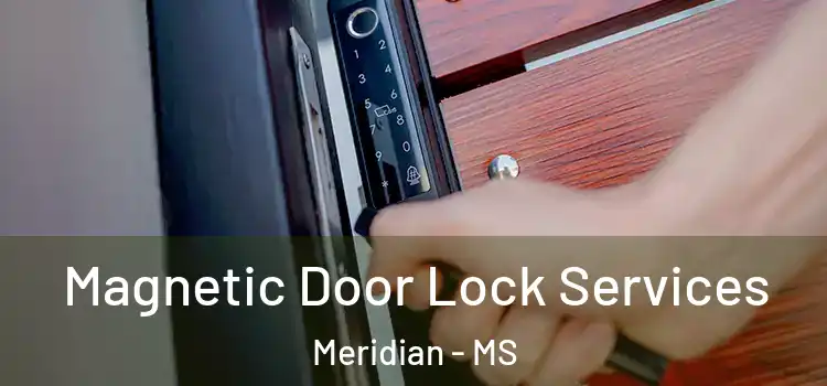 Magnetic Door Lock Services Meridian - MS