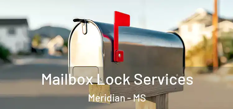 Mailbox Lock Services Meridian - MS