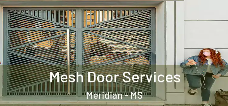 Mesh Door Services Meridian - MS