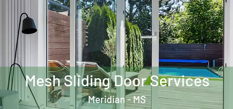 Mesh Sliding Door Services Meridian - MS