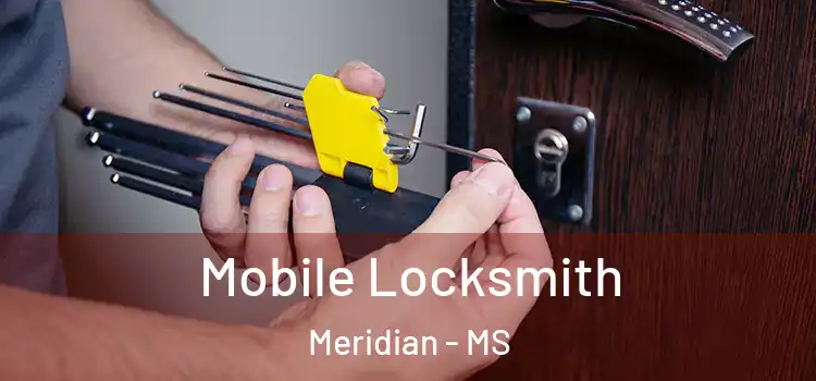 Mobile Locksmith Meridian - MS