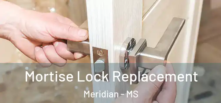 Mortise Lock Replacement Meridian - MS