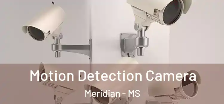  Motion Detection Camera Meridian - MS
