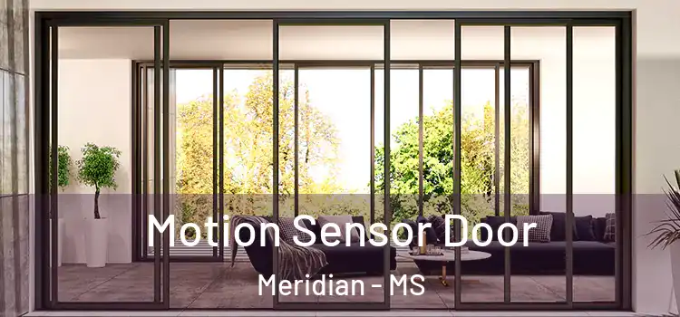 Motion Sensor Door Meridian - MS