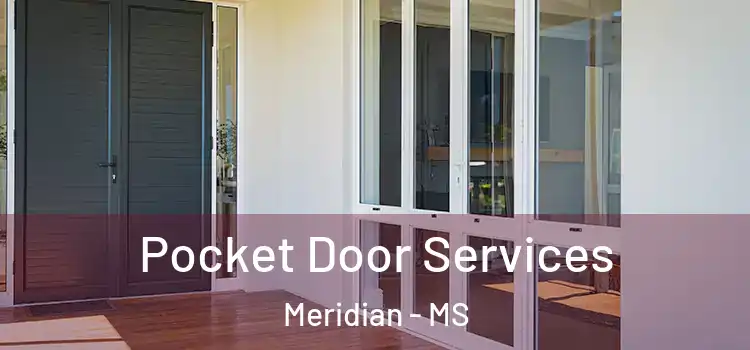Pocket Door Services Meridian - MS