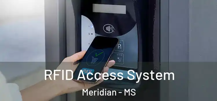 RFID Access System Meridian - MS