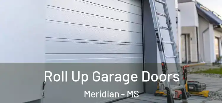  Roll Up Garage Doors Meridian - MS