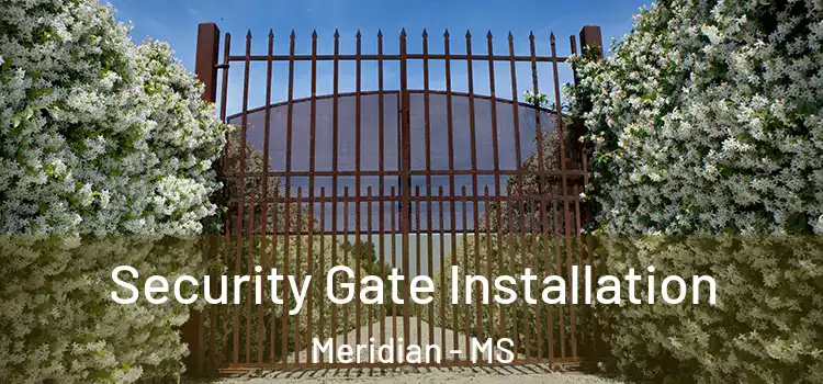 Security Gate Installation Meridian - MS
