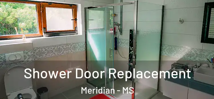 Shower Door Replacement Meridian - MS