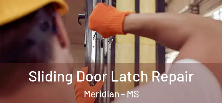 Sliding Door Latch Repair Meridian - MS