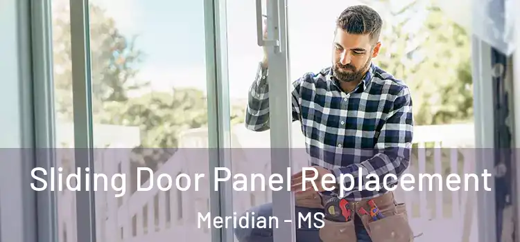  Sliding Door Panel Replacement Meridian - MS