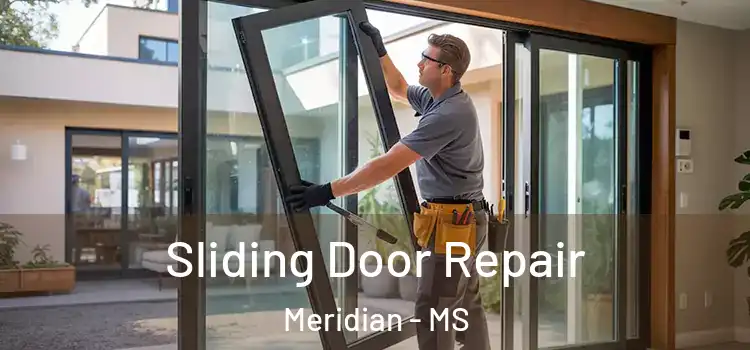 Sliding Door Repair Meridian - MS
