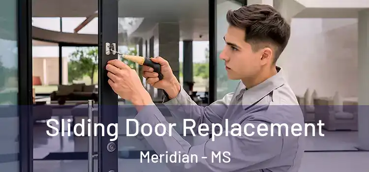 Sliding Door Replacement Meridian - MS