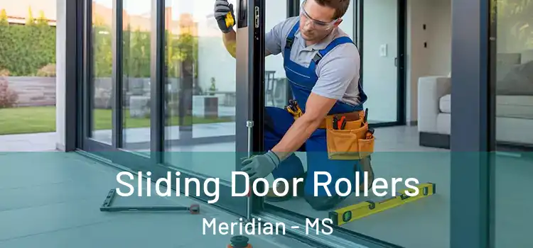 Sliding Door Rollers Meridian - MS