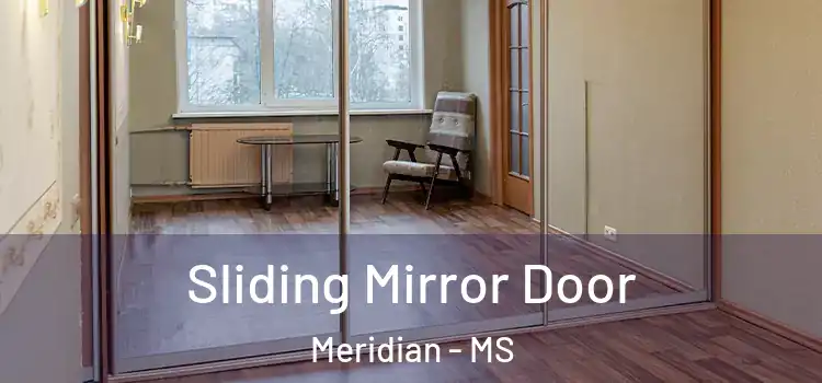  Sliding Mirror Door Meridian - MS