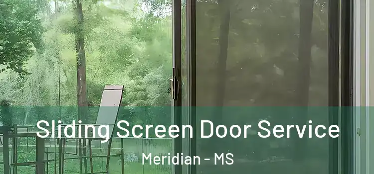 Sliding Screen Door Service Meridian - MS
