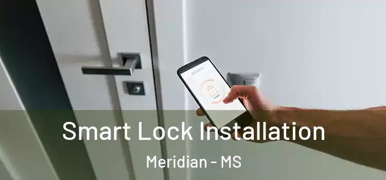 Smart Lock Installation Meridian - MS
