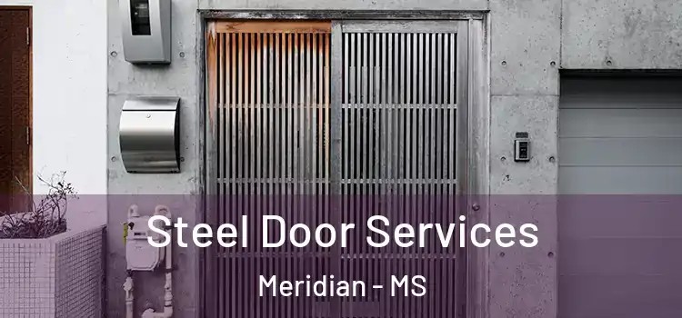 Steel Door Services Meridian - MS