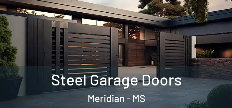 Steel Garage Doors Meridian - MS