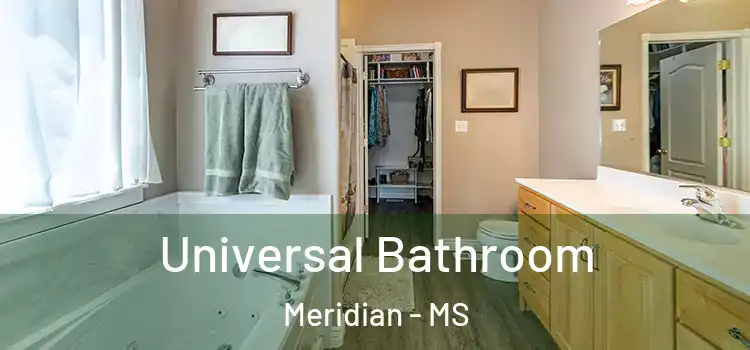 Universal Bathroom Meridian - MS