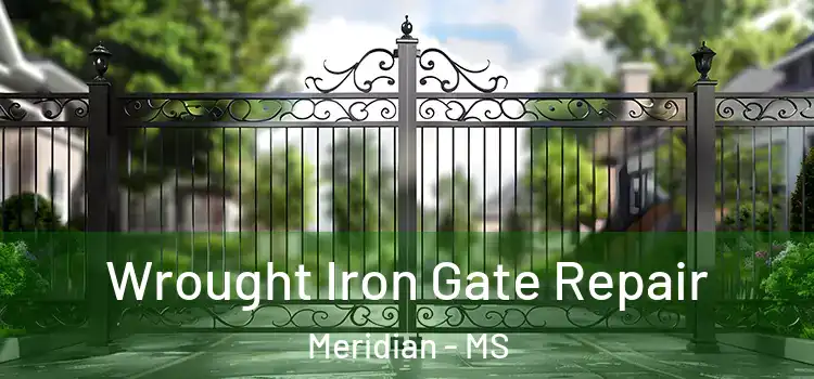 Wrought Iron Gate Repair Meridian - MS